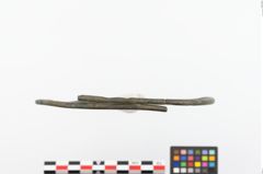 Foto von Bronzehalsring (NHMW-PRAE-023867)